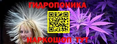 мяу мяу мука Кингисепп