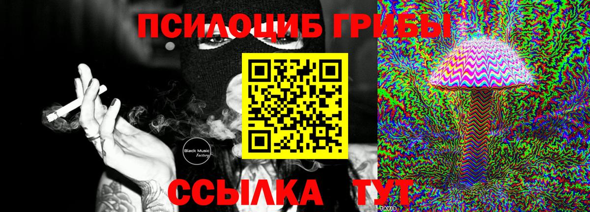 Псилоцибиновые грибы Psilocybe Йошкар-Ола