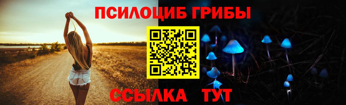 Галлюциногенные грибы мицелий  Вход с VPN  Йошкар-Ола 